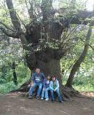 Fageda d'Olot 2007